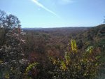 IMG_20191028_115859710.jpg