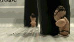 ADDD2D21-943E-4A4D-B6D0-5720BE9E2190.gif