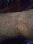 IMG_20191104_184816075.jpg