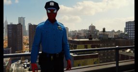 spider-cop.jpeg