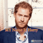 My Name is Harry.gif
