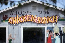 CHICKEN-RANCH-2-scaled.jpg