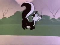 A372E6AF-93B8-4553-897D-B2D4D8B205D7.gif