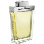 salvatoreferragamo_salvatoreferragamopourhomme_edt100.jpg