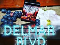 FLS_Delmar_Blvd.jpg