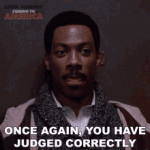 once-again-you-have-judged-correctly-eddie-murphy.gif