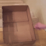17105497-F862-40A1-BFB6-F10AD9FD9D9A.gif