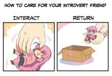 introvert.jpg