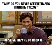 elephant-dad-joke.jpeg