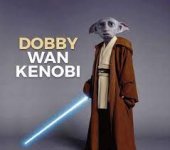 dobby wan -1.jpg