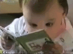 382730.gif