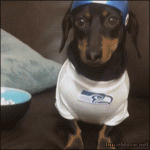 giphy (20).gif