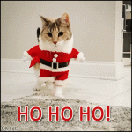 Christmas Cat GIF • HO HO HO! My shy Santa cat wishes everyone a happy day and a Merry Xmas.gif