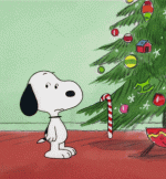 zppZTJ9.gif