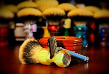 DSC_8515.jpg