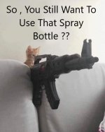 Spray bottle-1.jpg