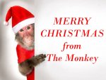 48060999-funny-monkey-santa-claus-holding-blank-christmas-banner.jpg