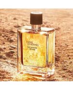 terre-d-hermes-eau-intense-vetiver.jpg