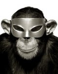 masked Monkey.jpg