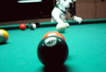 B2F047B8-52AF-418C-A032-82E02A587E08.gif