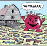 1746293138182.png