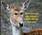 IMG_2163.jpeg