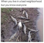 1747690904570.png