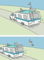 IMG_5245.jpeg