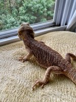 IMG_3970.jpeg