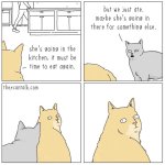 IMG_5261.jpeg