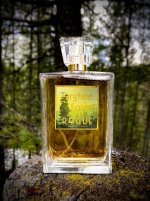 Targhee Forest.jpeg