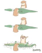 IMG_5271.jpeg