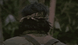 200.gif