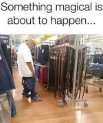 IMG_2323.jpeg