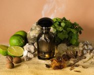 Widian Limited 71.jpg