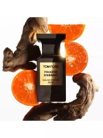 Fougère d'Argent.jpeg