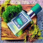 Fougere L’Aube.jpeg