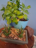 20260316_160654.jpg 20260316_160654.jpg