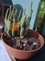 20260316_160632.jpg 20260316_160632.jpg