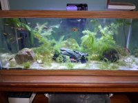 20260316_160559.jpg 20260316_160559.jpg