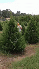 christmas tree GIF.gif