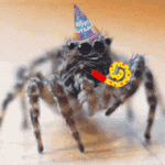 spider-party-dance.gif