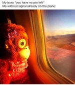 IMG_6229.jpeg