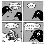 IMG_6231.jpeg