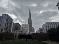 IMG_5658.jpeg