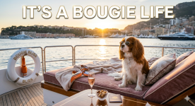 image_ac4319a8.png