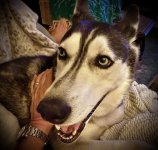IMG_3189.jpeg