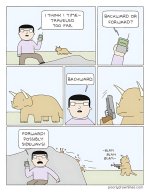IMG_6239.jpeg