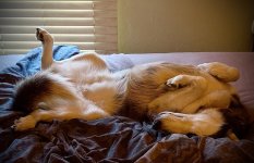 IMG_3222.jpeg
