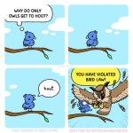 IMG_6339.jpeg